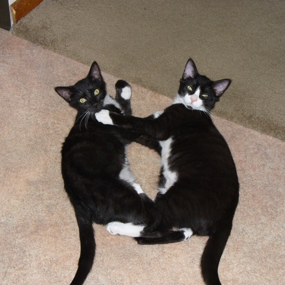 Meet your Posher, V - Picture 2 of 6